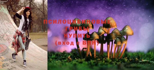 стафф Богородицк