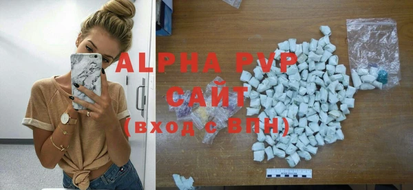 стафф Богородицк