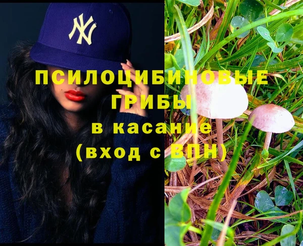 мдма Богородск