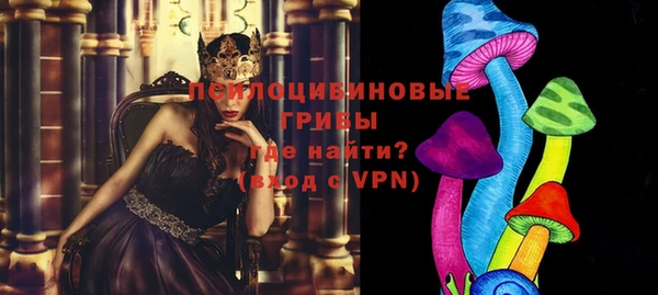 ешки Зеленодольск